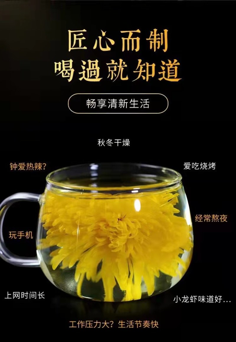 【金丝皇菊】金丝皇菊一朵一杯菊花茶基地直发欢迎采购