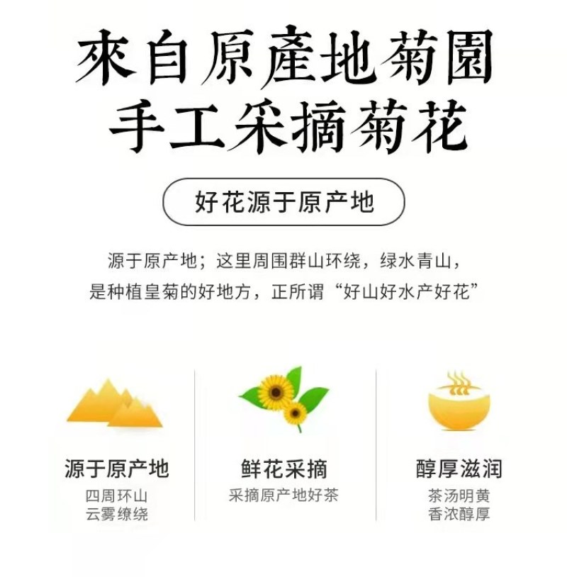 【金丝皇菊】金丝皇菊一朵一杯菊花茶基地直发欢迎采购