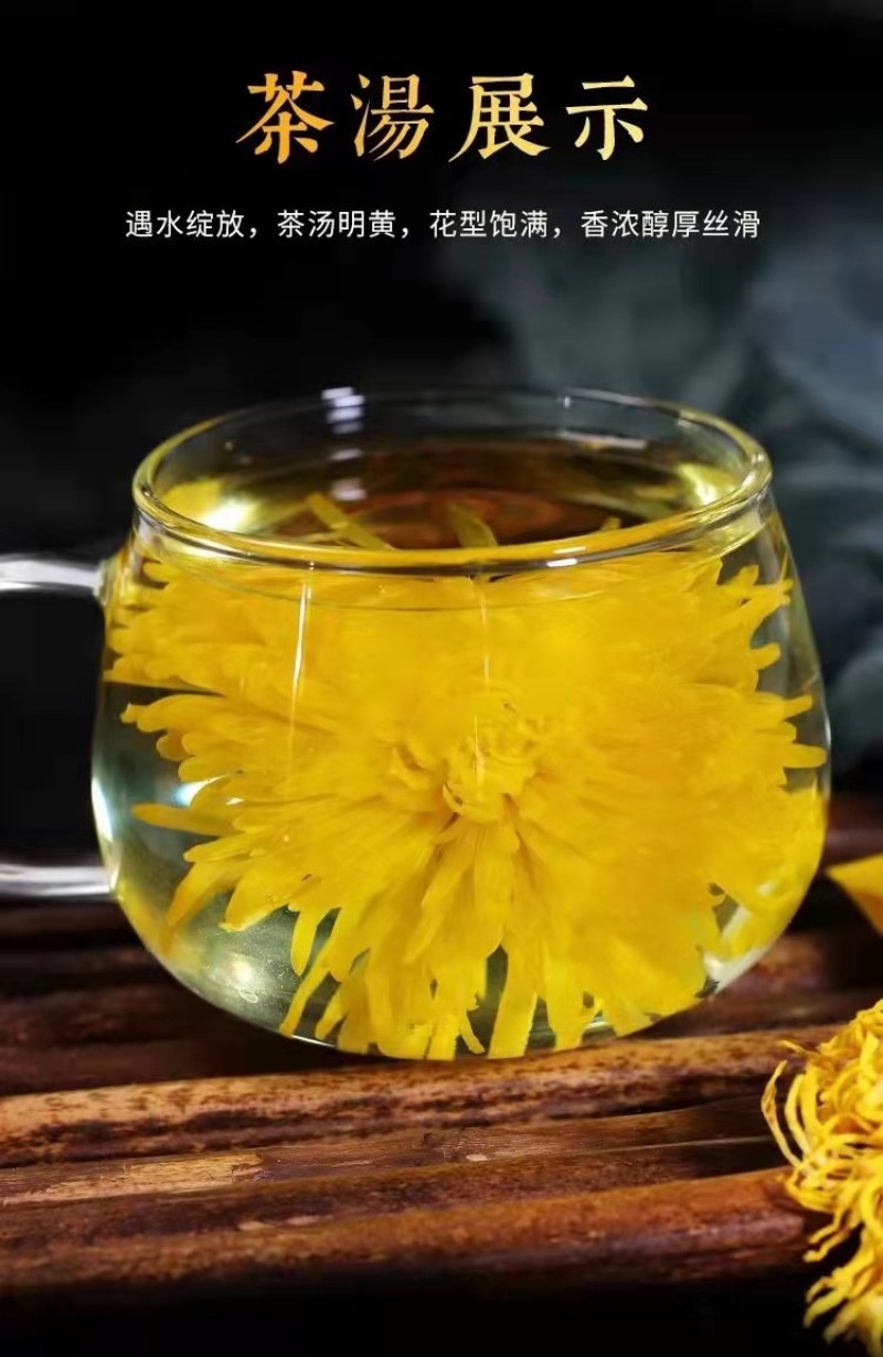 【金丝皇菊】金丝皇菊一朵一杯菊花茶基地直发欢迎采购