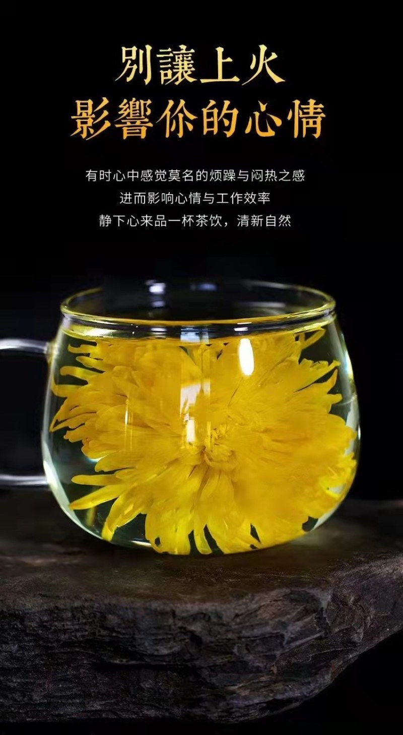 【金丝皇菊】金丝皇菊一朵一杯菊花茶基地直发欢迎采购