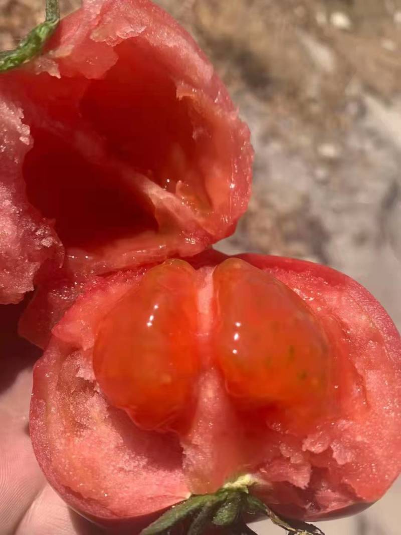 西红柿，新鲜西红柿欢迎品尝，顺丰包邮。