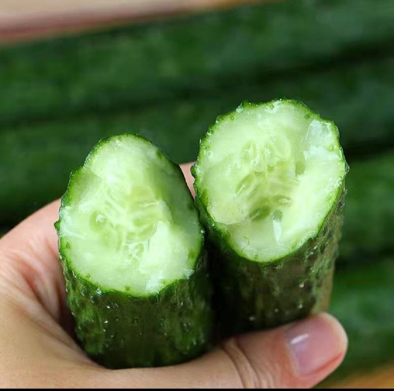 优质黄瓜