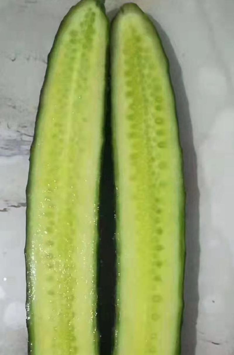优质黄瓜