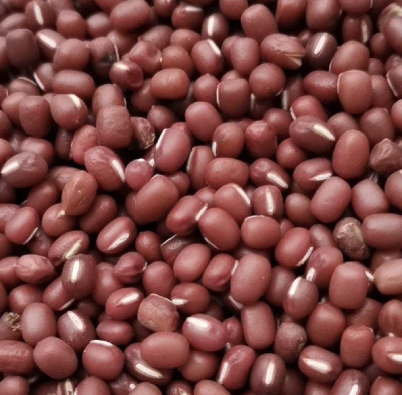 红豆厂家批发红豆红小豆精品红豆优质红豆
