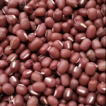 红豆厂家批发红豆红小豆精品红豆优质红豆