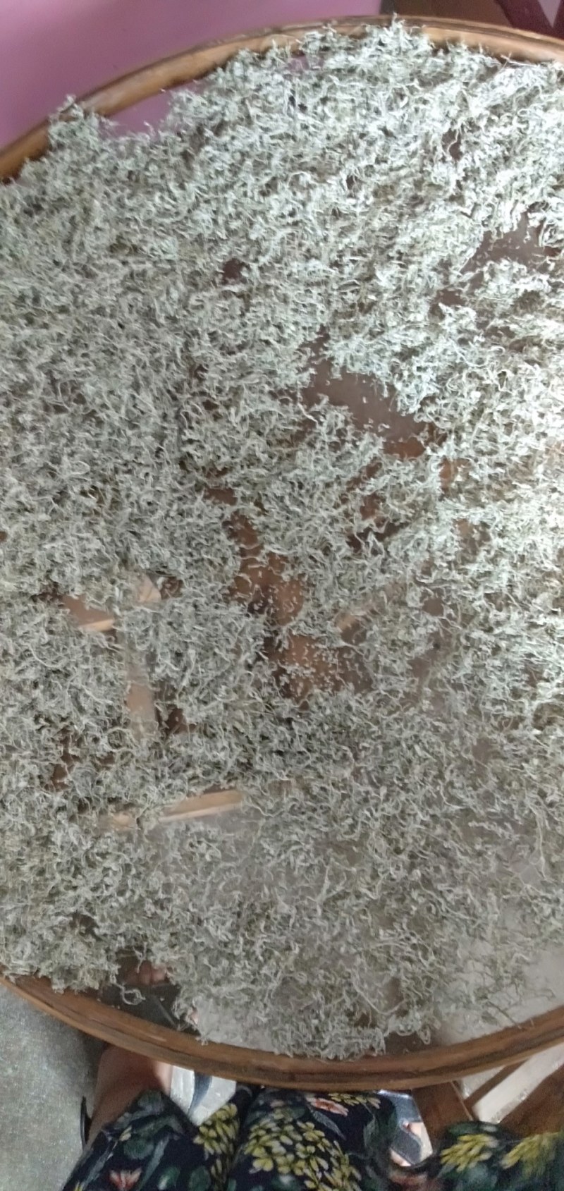 藤茶也叫做莓茶可以还解感冒喉咙痛咽喉炎