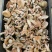 松乳菌，紫花菌，松树菌，山中珍品，绿色食品，营养丰富