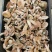 松乳菌，紫花菌，松树菌，山中珍品，绿色食品，营养丰富