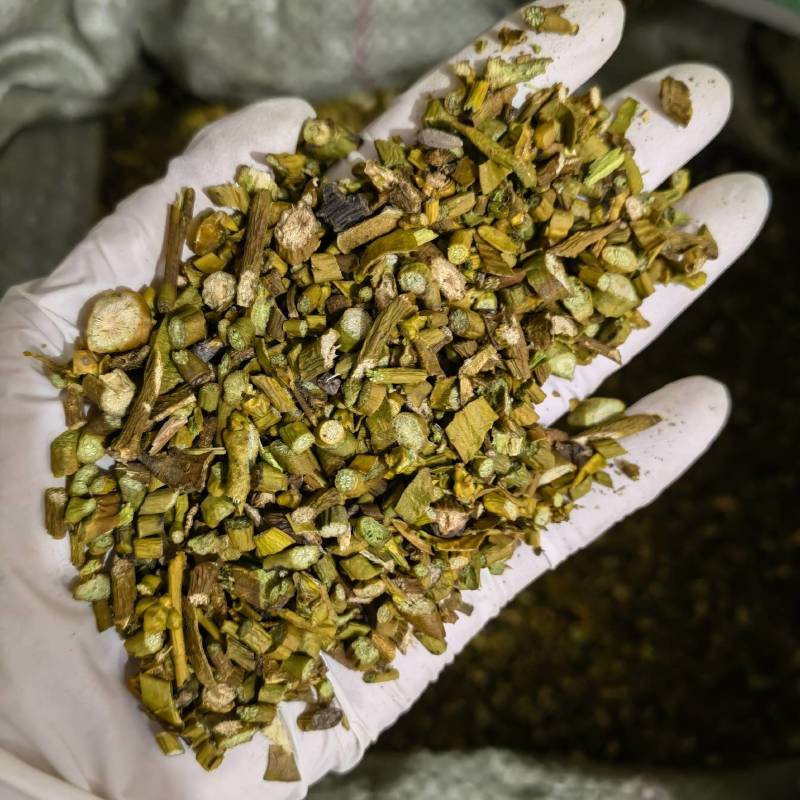 桑寄生实图拍摄今年新货颜色好看当天发货欢迎选购