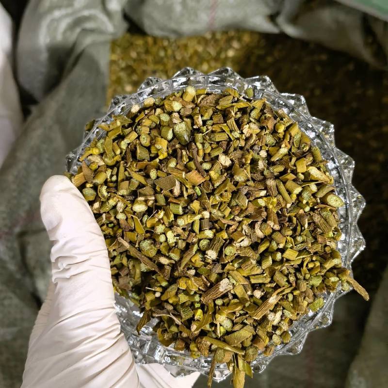 桑寄生实图拍摄今年新货颜色好看当天发货欢迎选购