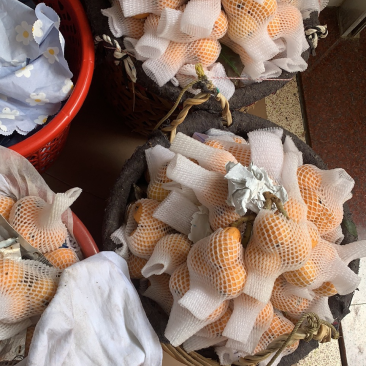 云霄枇杷，个大超甜