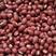 红豆源头厂家优质红豆，质量保证新货红豆，食品级，全国发货