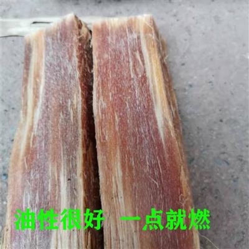 高油性松明子琥珀木松油木松香木腐朽木松节