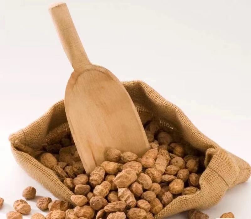 【脱皮豆】晶地达油莎豆精品优质大颗粒产地直发虎坚果