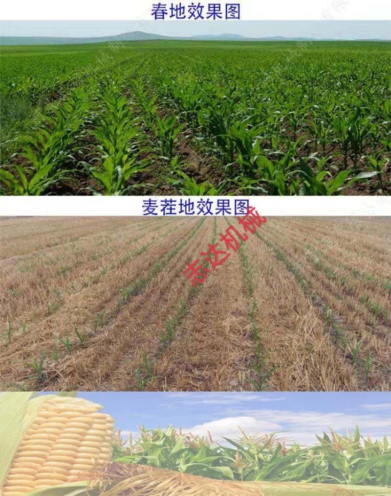 玉米悬浮精播机拖拉机配套大豆玉米施一体机免拔苗播种机