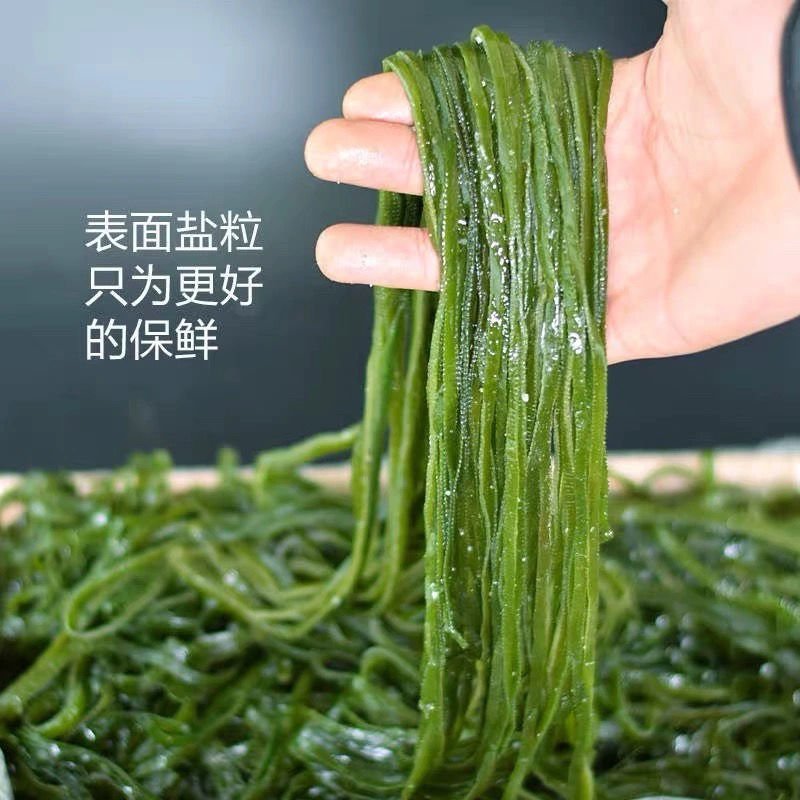【6斤】新鲜盐渍海带丝带箱6斤厚海带凉拌菜火锅盐渍海批发