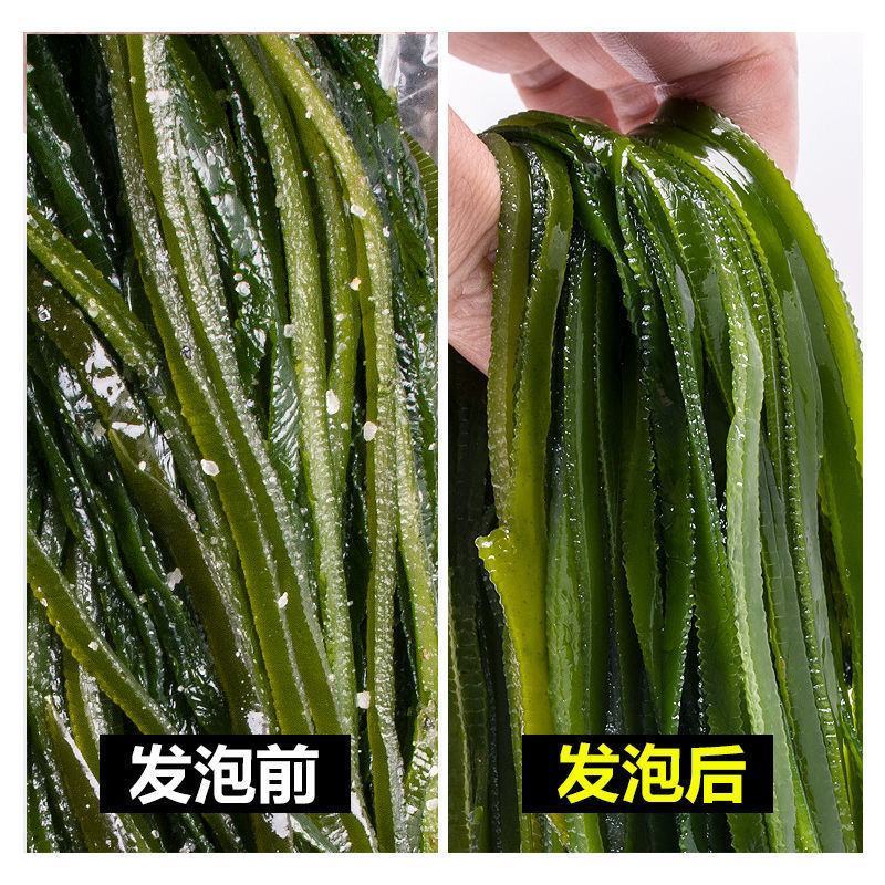 【6斤】新鲜盐渍海带丝带箱6斤厚海带凉拌菜火锅盐渍海批发