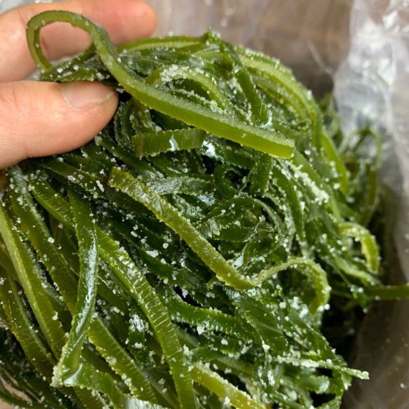 【6斤】新鲜盐渍海带丝带箱6斤厚海带凉拌菜火锅盐渍海批发