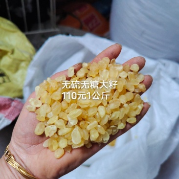 皂角米小籽，无硫大双荚，靓货大量有货，质高价优，欢迎订购