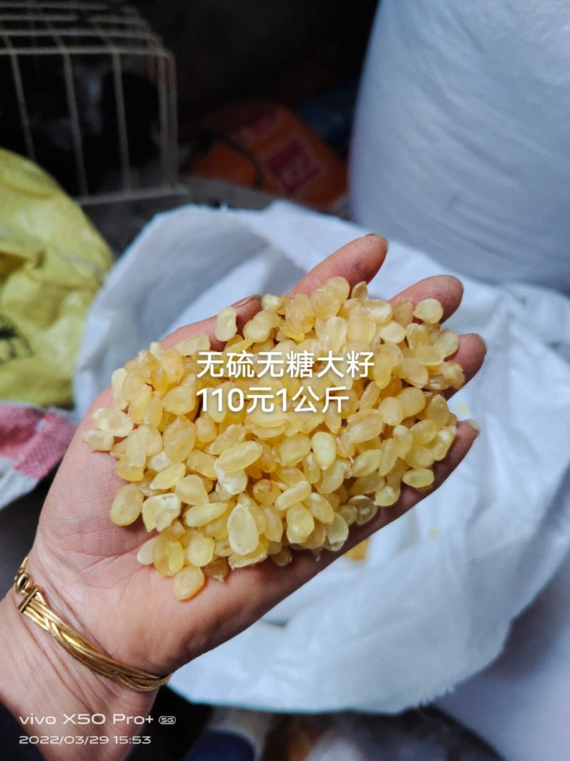 皂角米小籽，无硫大双荚，靓货大量有货，质高价优，欢迎订购