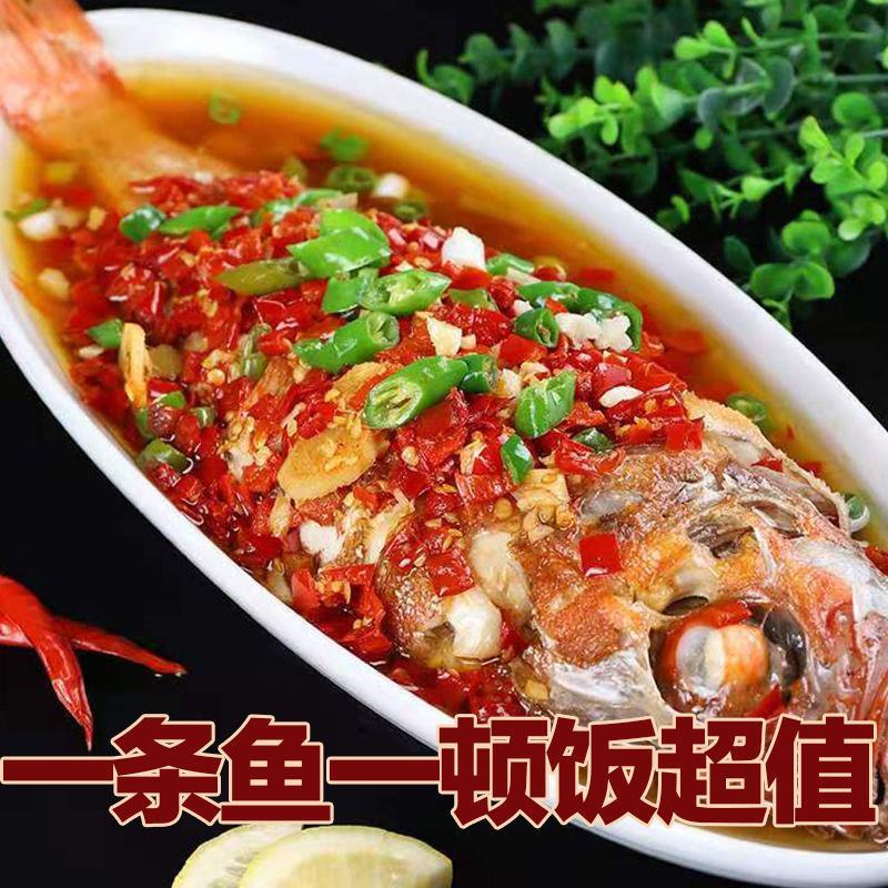 红石斑鱼整条大鲜活冰鲜大龙胆鱼富贵鱼深海鱼速冻海鲜包邮