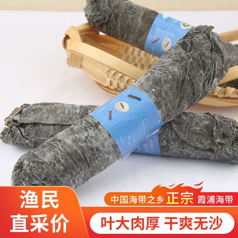 霞浦海带干货海带卷厚海带肉超厚当季海带批发高品质天然日晒
