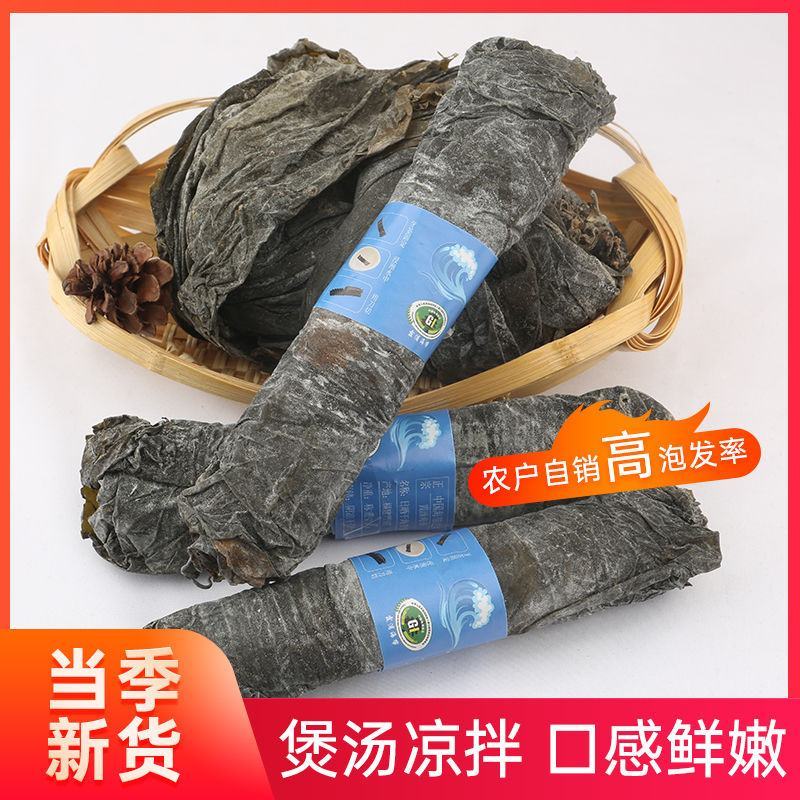霞浦海带干货海带卷厚海带肉超厚当季海带批发高品质天然日晒