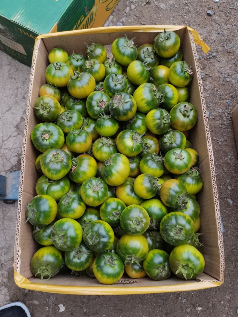 草莓柿子欢迎订购