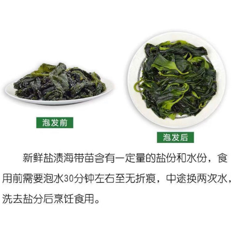 霞浦袋装头水海带苗盐渍海带芽海藻鲜嫩火锅海白裙带菜工厂批