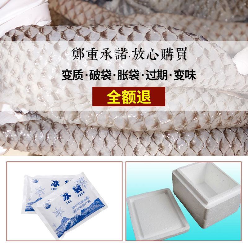 罗非鱼皮食材凉拌原味水发新鲜冷冻鱼皮火锅餐饮批发原料食材