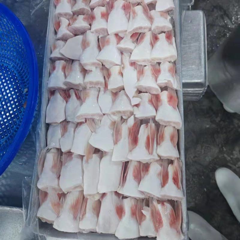 巴沙鱼鳍