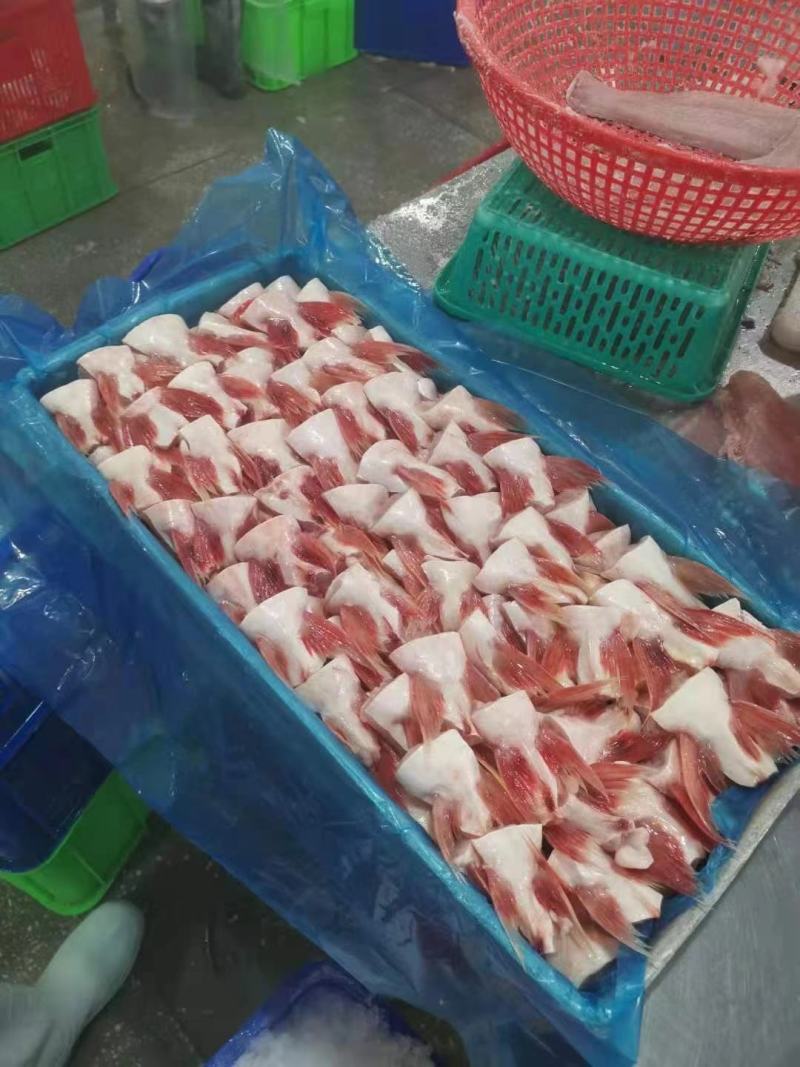 巴沙鱼鳍