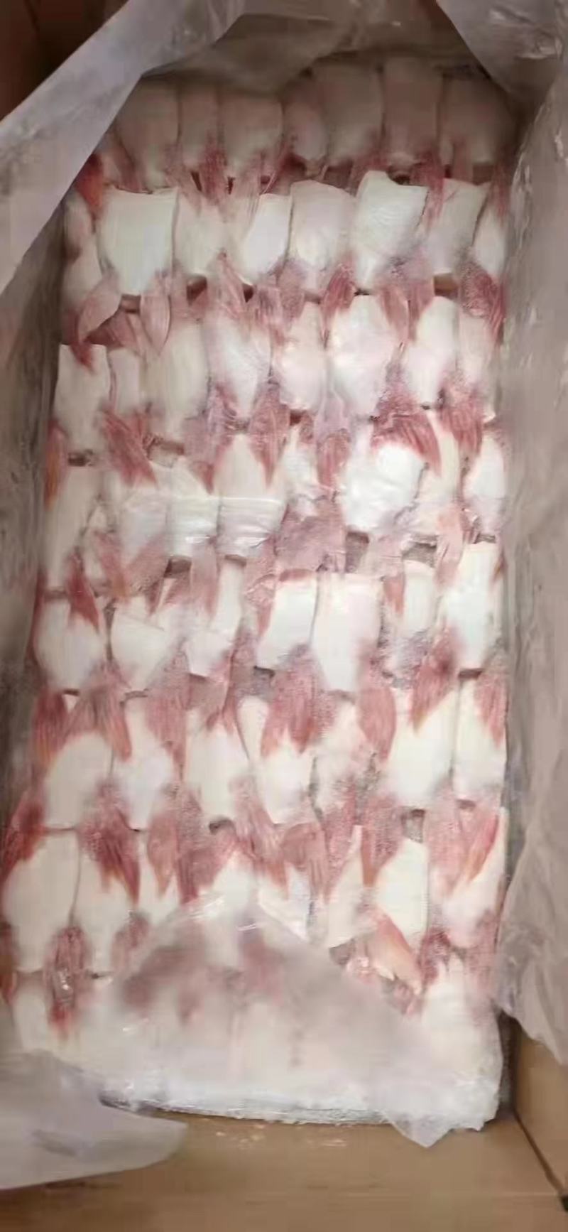 巴沙鱼鳍