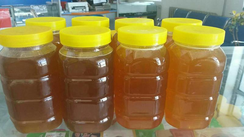 【蜂蜜】东北土蜂蜜百花蜜苕条蜜无添加剂纯正