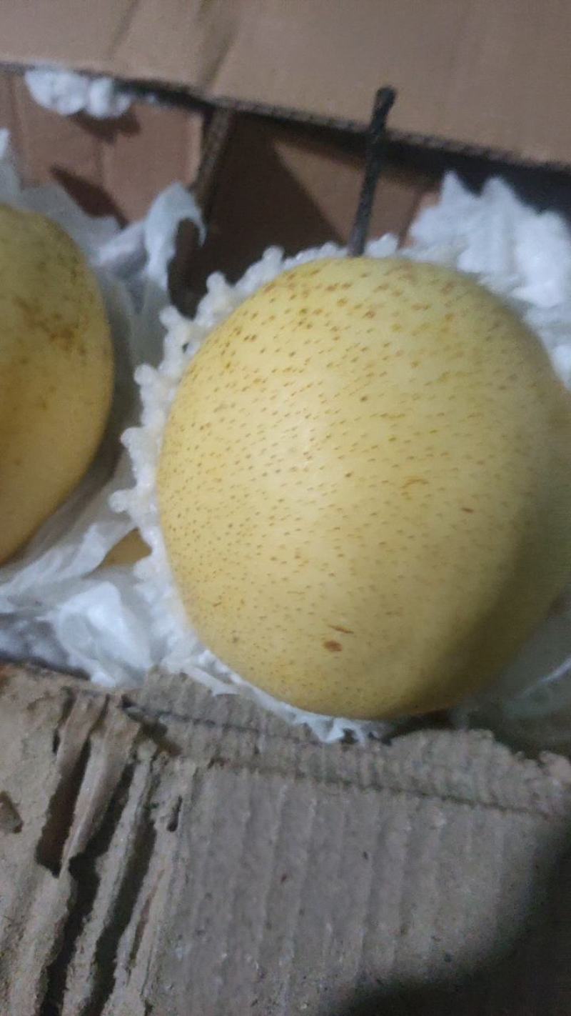 雪花梨，【】梨，新品雪花梨，产地直发，保证质量