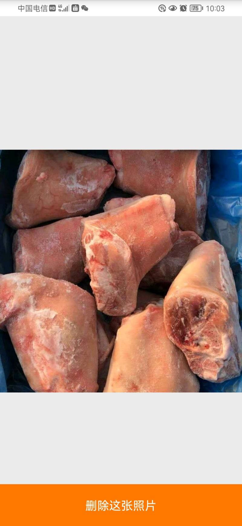 新鲜冷冻猪肘子猪蹄膀前肘肘子前腿肉20斤一箱9-13个新