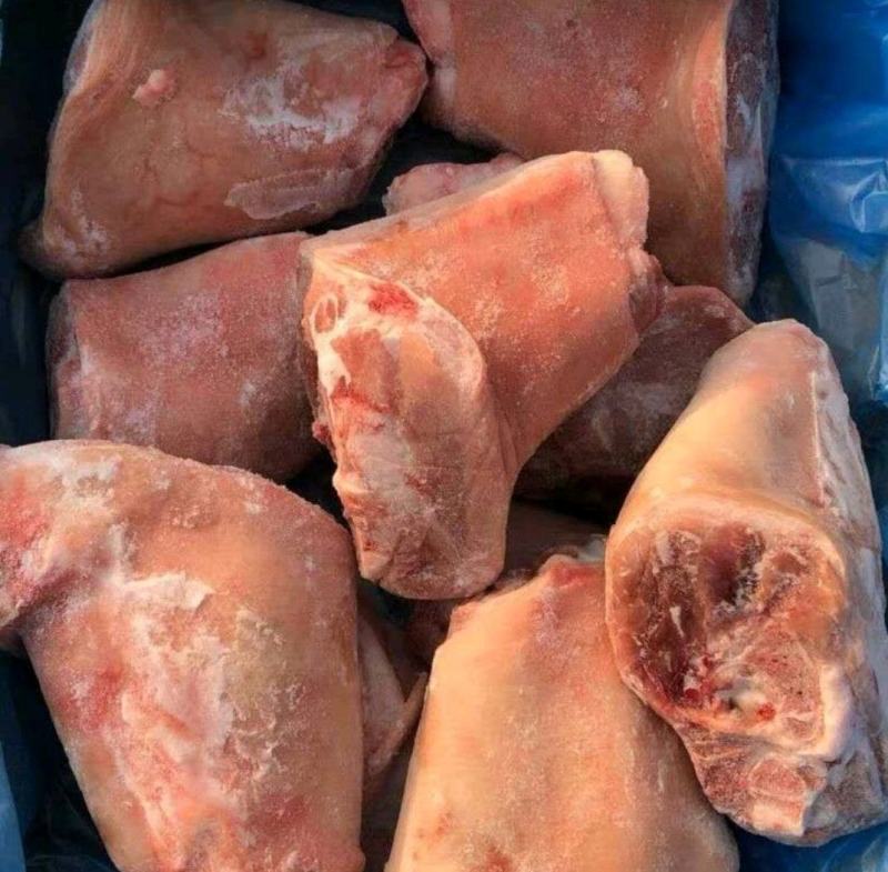 新鲜冷冻猪肘子猪蹄膀前肘肘子前腿肉20斤一箱9-13个新