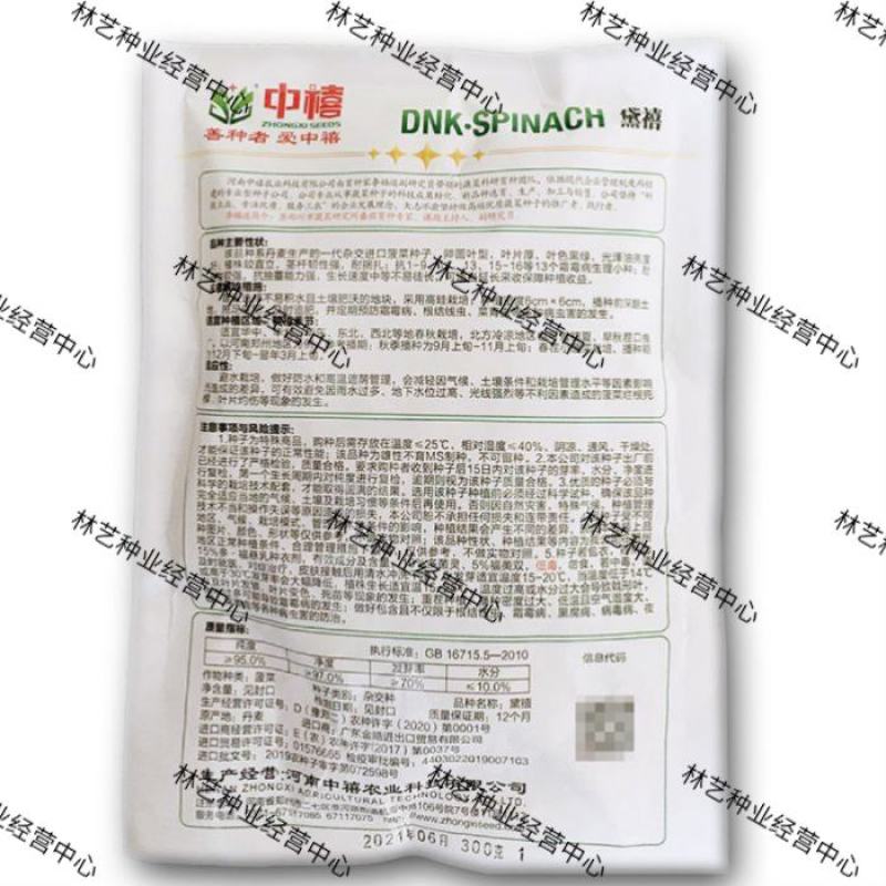 中禧农业黛禧菠菜种子大叶菠菜种子阳台庭院农田种植菠菜种籽