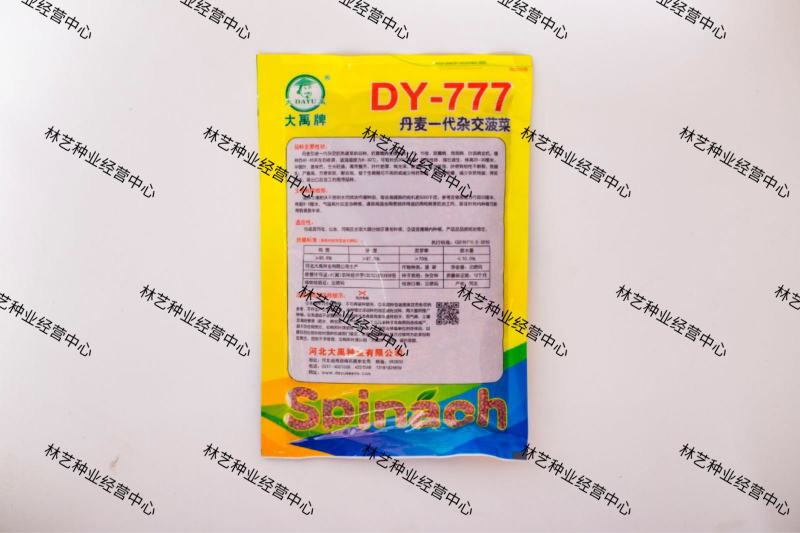 大禹DY-777菠菜种子丹麦进口一代杂交耐抽薹抗病耐运输