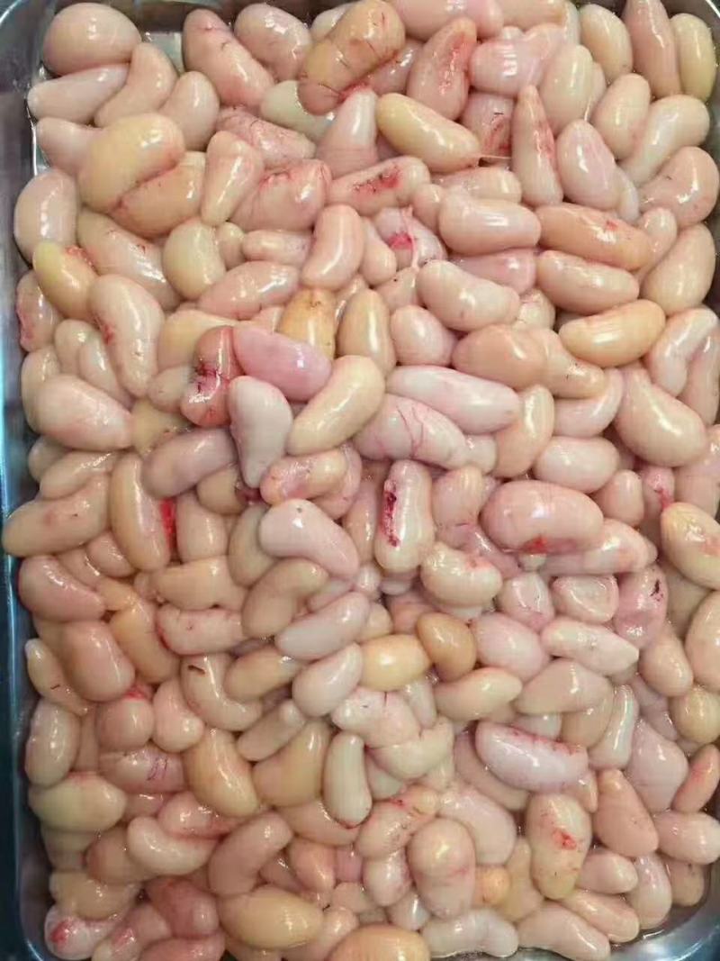 新鲜鸡腰子大中小号鸡子鸡春子产地常年供应批发零