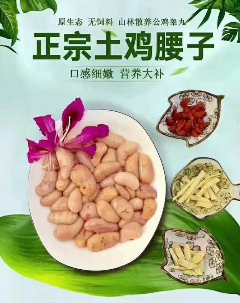 新鲜鸡腰子大中小号鸡子鸡春子产地常年供应批发零