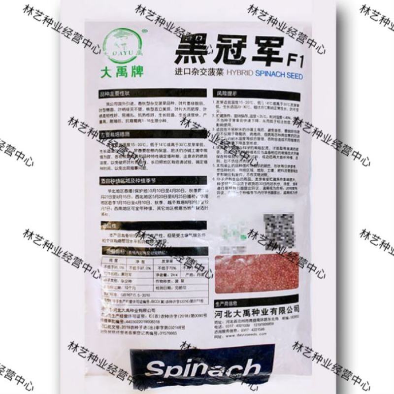 大禹黑冠军菠菜种子春秋播种椭圆墨绿叶抗热高产耐抽薹抗霜霉