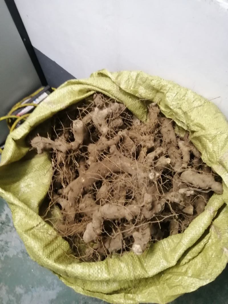 穿山龙穿山龙个子货穿山龙干货一手货源产地直供