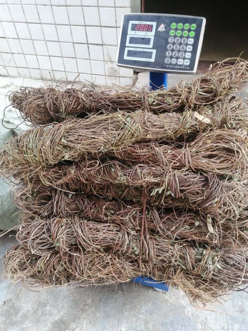 广东纯野生鸡骨草，靓干货无硫自然干晒，二十斤起发货