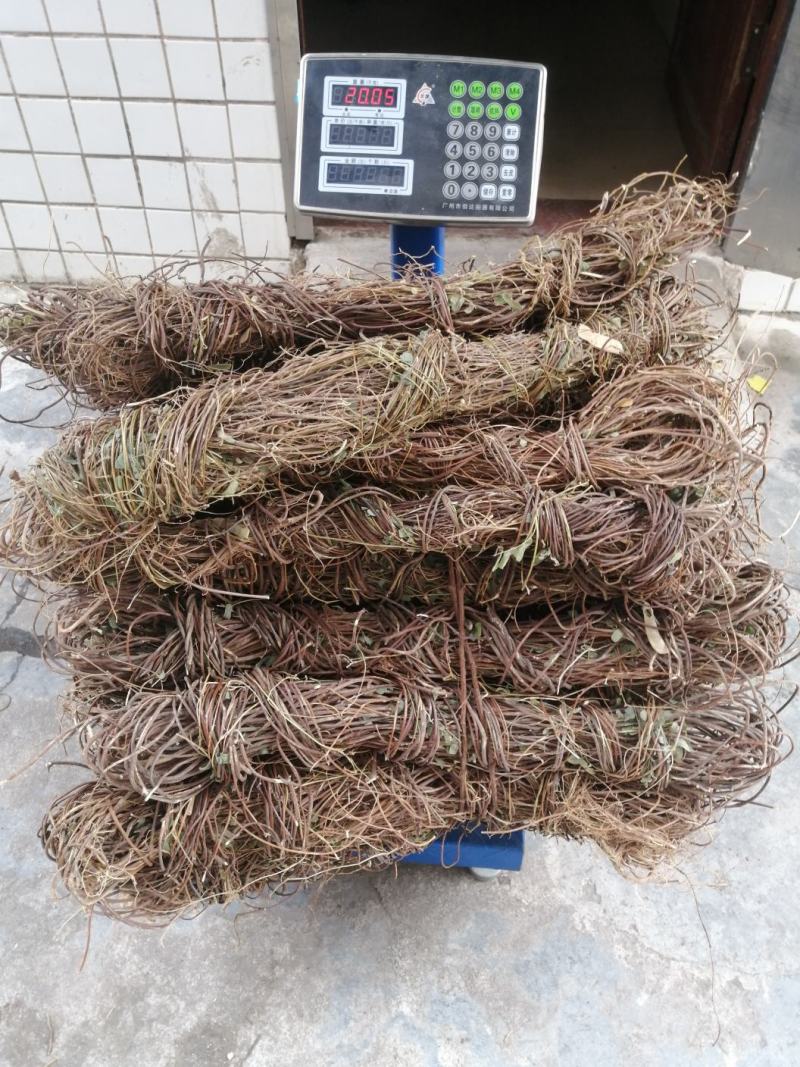 广东纯野生鸡骨草，靓干货无硫自然干晒，二十斤起发货
