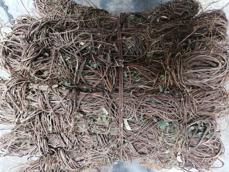 广东纯野生鸡骨草，靓干货无硫自然干晒，二十斤起发货
