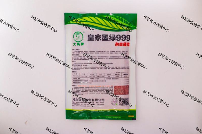 皇家墨绿圆叶菠菜种子高产抗病耐寒春秋冬播高产进口黑叶菠菜