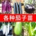 茄子苗蔬菜苗紫长茄苗黑长茄苗紫圆茄杭茄苗线茄苗青茄烧烤茄