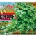 铁杆大叶香菜耐寒耐热香菜种子大叶芫荽阳台菜种籽种籽农家蔬
