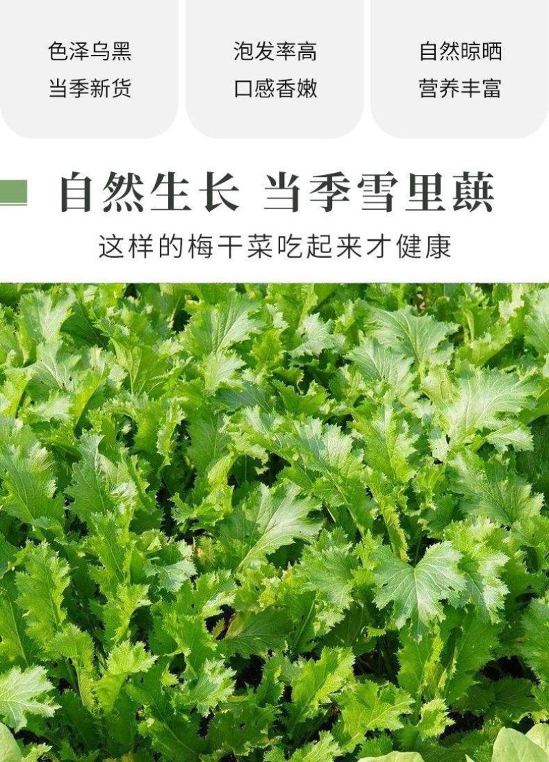 梅干菜干货500g农家特产外婆菜下饭菜开胃梅干菜新货批发